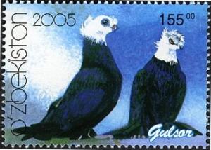 Colnect-2431-194-Gulzor-Columba-livia-forma-domestica.jpg