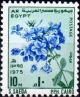 Colnect-2223-469-Plumbago-auriculata.jpg