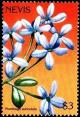 Colnect-3544-788-Plumbago-auriculata.jpg