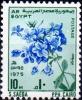 Colnect-2223-469-Plumbago-auriculata.jpg