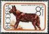 Colnect-1025-744-African-Hunting-Dog-Lycaon-pictus.jpg