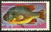 Colnect-1061-810-Longear-Sunfish-Lepomis-megalotis.jpg