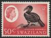 Colnect-1246-349-Southern-Ground-hornbill-Bucorvus-cafer-.jpg