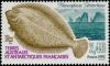 Colnect-886-940-Antarctic-Armless-Flounder-Mancopsetta-maculata-maculata-.jpg