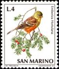 Colnect-1687-584-Ortolan-Bunting-Emberiza-hortulana.jpg