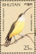 Colnect-1720-393-Little-Spiderhunter-Arachnothera-longirostra.jpg