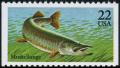 Colnect-4840-182-Muskellunge-Esox-masquinongyi-.jpg