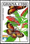 Colnect-5993-193-Golden-Pansy-Junonia-chorimene---overprinted.jpg