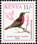 Colnect-753-977-Scarlet-chested-Sunbird-Chalcomitra-senegalensis.jpg