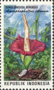 Colnect-2770-147-Flora-and-Fauna--Amorphophallus-titanum.jpg