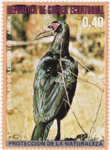 Colnect-1143-301-Southern-Ground-Hornbill-Bucorvus-cafer.jpg