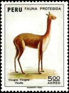 Colnect-1617-410-Vicuna-Vicugna-vicugna.jpg