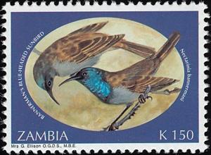 Colnect-1502-673-Bannerman-s-Sunbird-Cyanomitra-bannermani.jpg