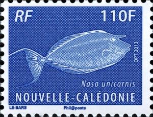 Colnect-2565-669-Bluespine-Unicornfish-Naso-unicornis.jpg