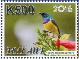 Colnect-3670-175-Variable-Sunbird%C2%A0Cinnyris-venustus.jpg