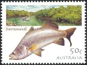 Colnect-3690-176-Barramundi-Lates-calcarifer.jpg