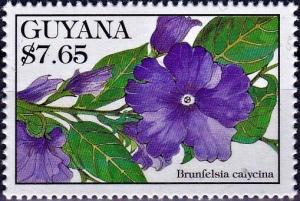 Colnect-4606-233-Brunfelsia-calycina.jpg