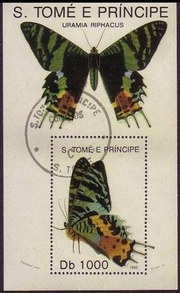 Colnect-1264-092-Madagascan-Sunseth-Moth-Urania-riphacus.jpg