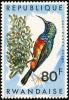 Colnect-1780-782-Regal-Sunbird-Cinnyris-regius.jpg