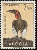 Colnect-1761-339-Southern-Ground-Hornbill-Bucorvus-cafer.jpg