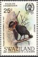 Colnect-1661-904-Southern-Ground-Hornbill-Bucorvus-cafer.jpg