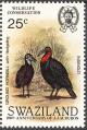 Colnect-1661-906-Southern-Ground-Hornbill-Bucorvus-cafer.jpg