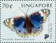 Colnect-444-305-Blue-Pansy-Junonia-otithya-ssp-wallacei.jpg