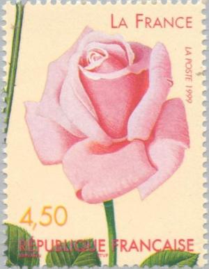 Colnect-146-679-Rose--laquo-La-France-raquo--1867.jpg