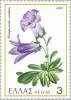 Colnect-174-040-Bellflower--quot-Campanula-oreadum-quot-.jpg