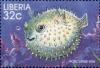 Colnect-3977-619-Porcupine-Fish-Diodon-sp.jpg