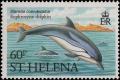 Colnect-4178-776-Euphrosyne-dolphin.jpg