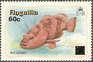 Colnect-1571-933-Red-Grouper-Epinephelus-morio.jpg