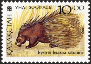 Colnect-3790-641-Indian-Crested-Porcupine-Hystrix-leucura-ssp-saturnini.jpg