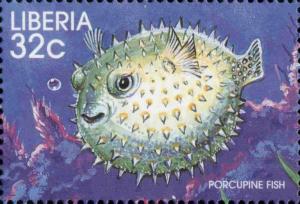 Colnect-3977-619-Porcupine-Fish-Diodon-sp.jpg