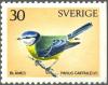 Colnect-4248-329-Eurasian-blue-tit.jpg