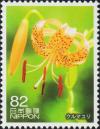 Colnect-6185-389-Kurumayuri-Lilium-medeoloides.jpg