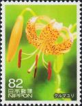 Colnect-6185-389-Kurumayuri-Lilium-medeoloides.jpg