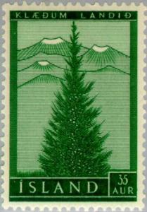 Colnect-165-124-Re-forest-European-spruce-Picea-abies.jpg