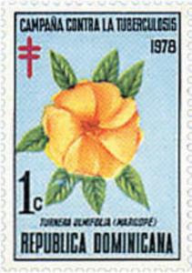 Colnect-3167-128-Turnera-ulmifolia.jpg