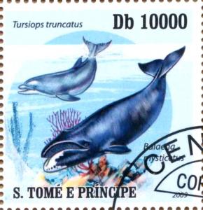 Colnect-3495-140-Tursiops-truncatus.jpg