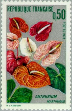 Colnect-144-834-Anthurium---Martinique.jpg