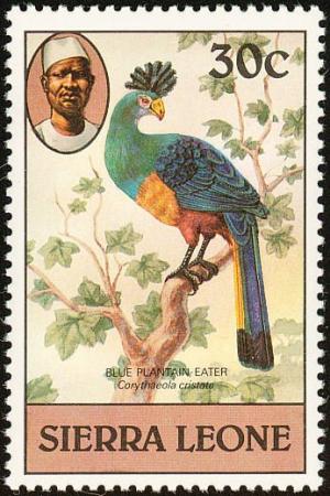 Colnect-2274-025-Great-Blue-Turaco%C2%A0Corythaeola-cristata.jpg