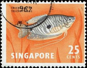 Colnect-3448-234-Three-spotted-Gourami-Trichogaster-trichopterus.jpg