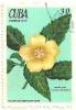 Colnect-1726-393-Turnera-ulmifolia.jpg