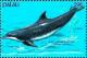 Colnect-5911-543-Tursiops-truncatus.jpg