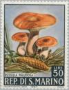 Colnect-171-557-Russula-paludosa.jpg