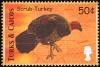 Colnect-1764-412-Australian-Brush-turkey%C2%A0Alectura-lathami.jpg