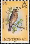 Colnect-1785-084-Forest-Thrush-Turdus-I%E2%80%99herminieri.jpg