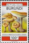 Colnect-2048-474-Russula-immaculata.jpg