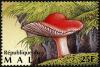 Colnect-2606-988-Rosy-Russula-Russula-rosacea.jpg